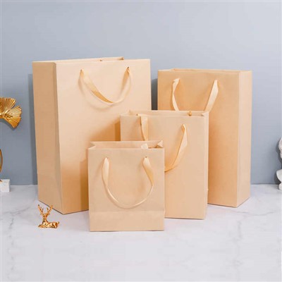 पेपर शॉपिंग बैग को संभालें